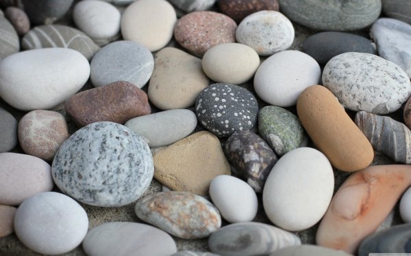 морские гальки