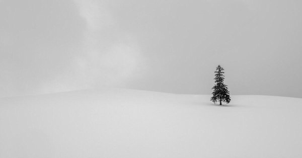 снег минимализм