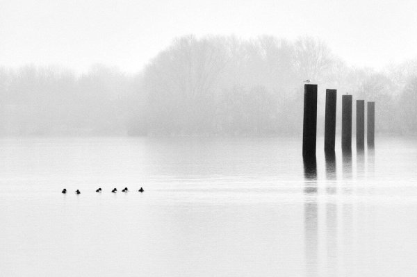 майкл кенна michael kenna