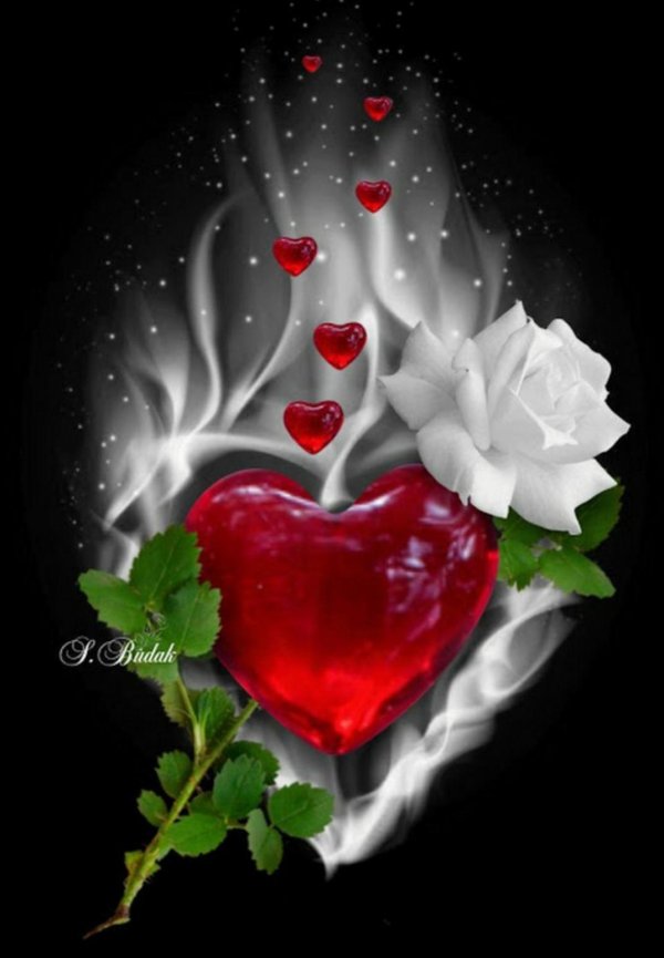 красивое сердечко