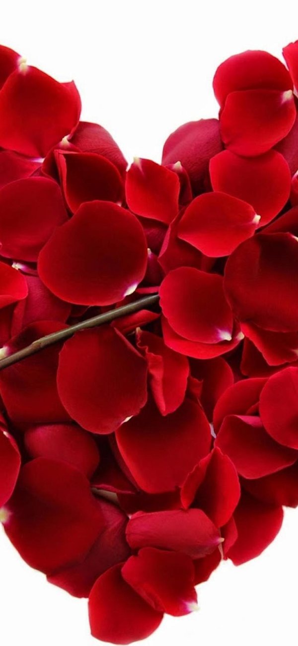 на день святого валентина