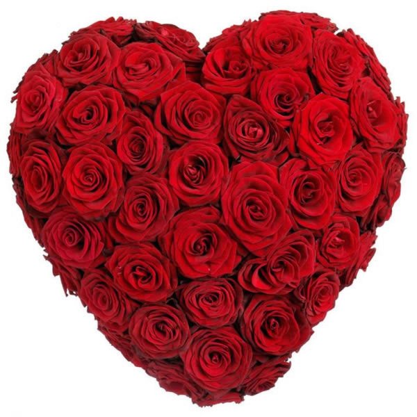розы в виде сердца