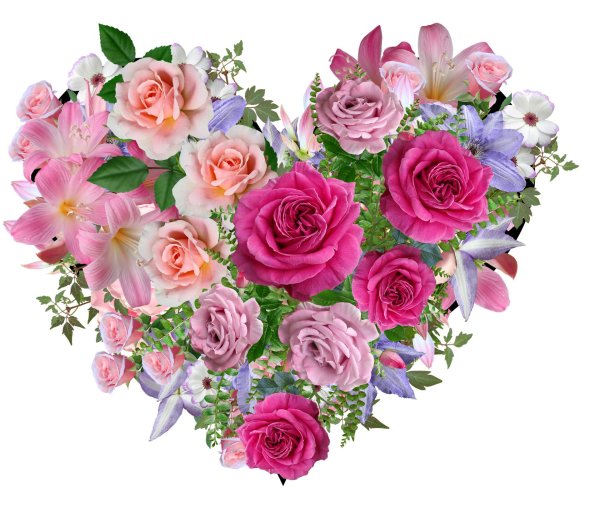 сердечки цветы