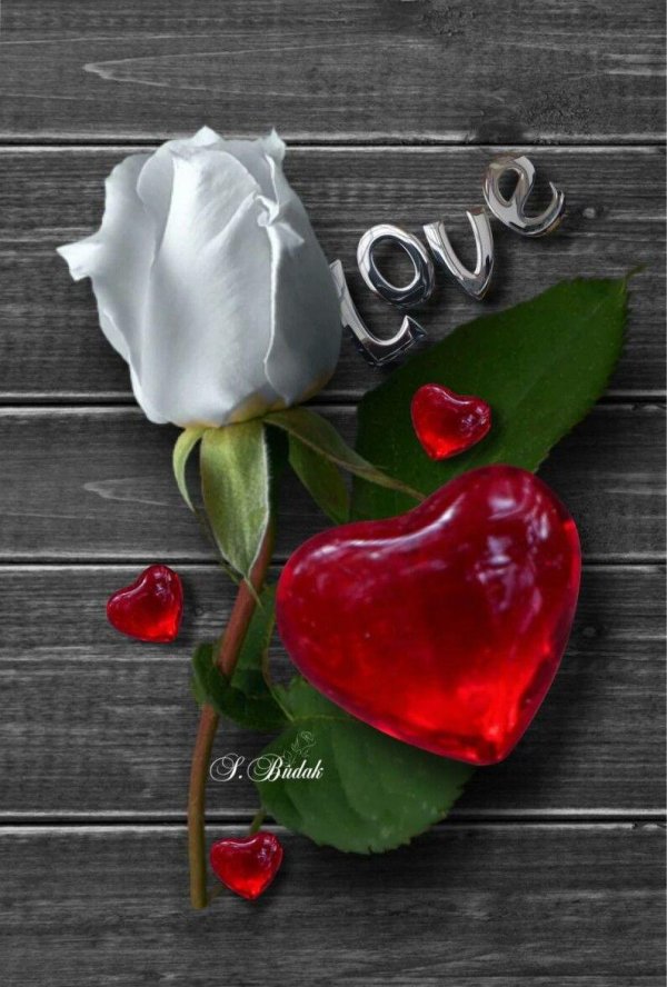 романтические цветы