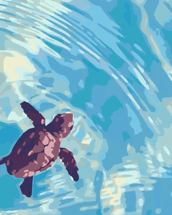 картина по номерам морские черепахи