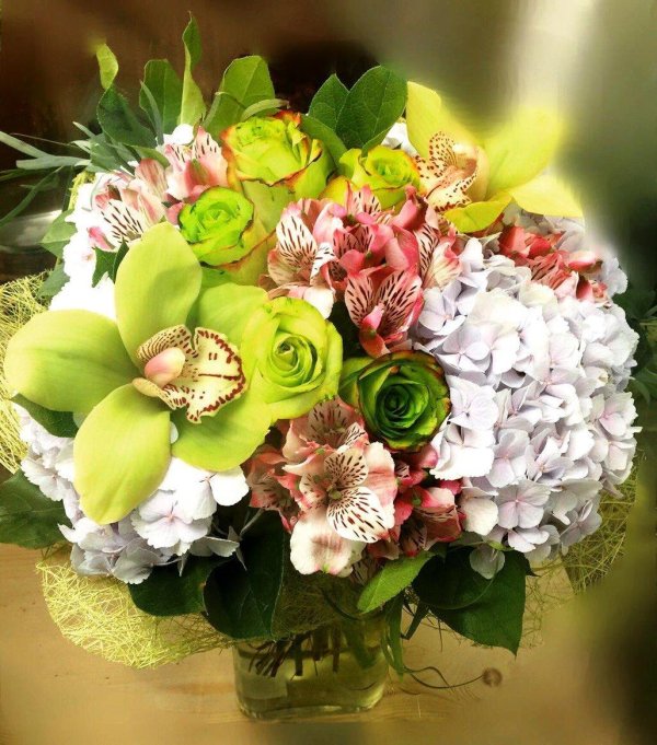 орхидея букетная