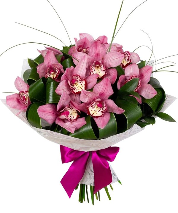 орхидеи цимбидиум