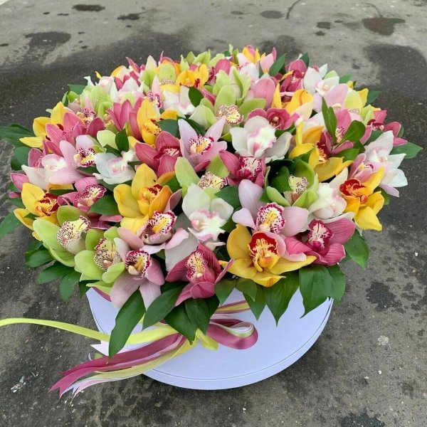 шляпная коробка орхидея цимбидиум