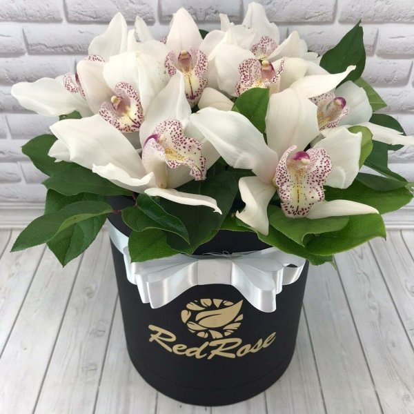 орхидея букетная