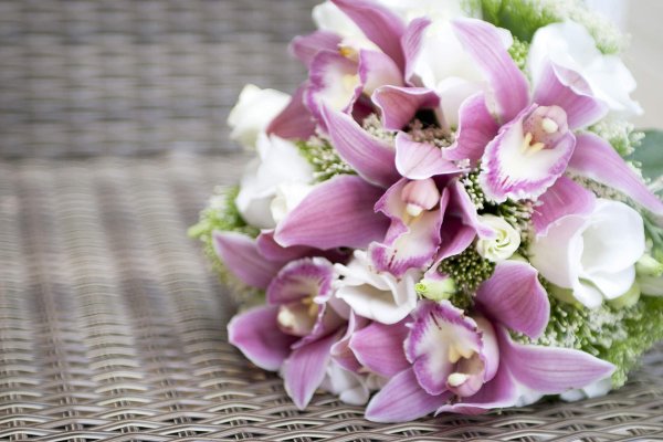 орхидея букетная