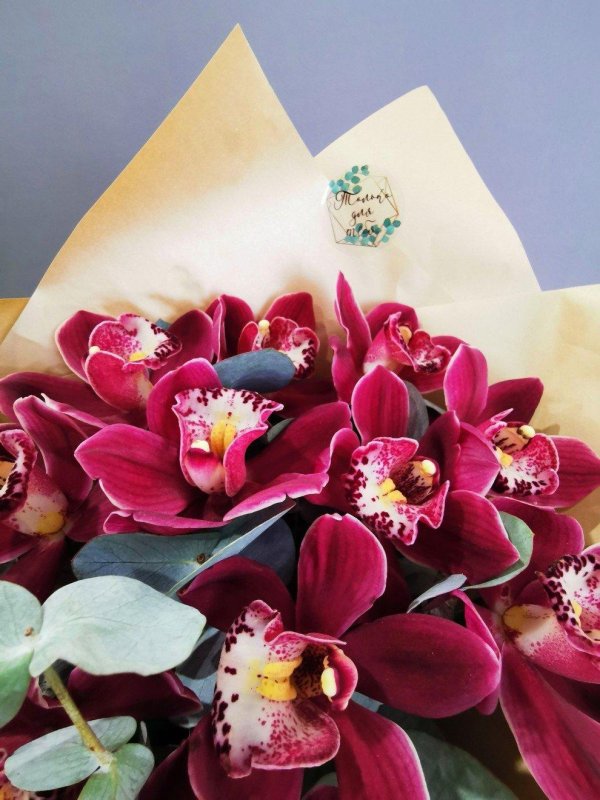 бордовая орхидея