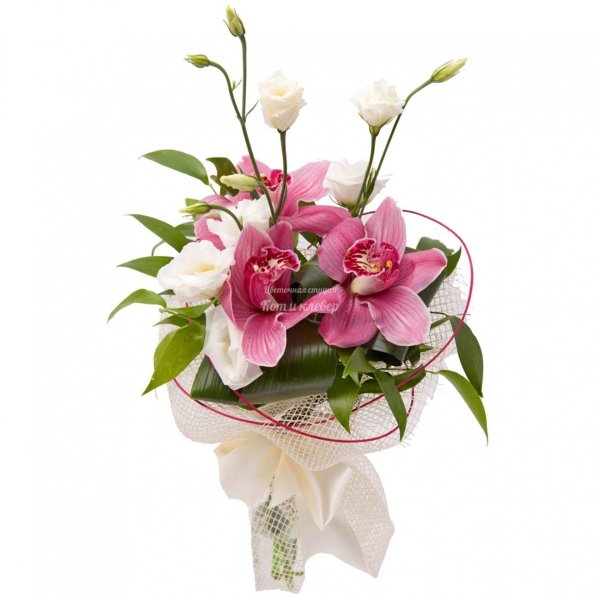 орхидея цимбидиум ветка