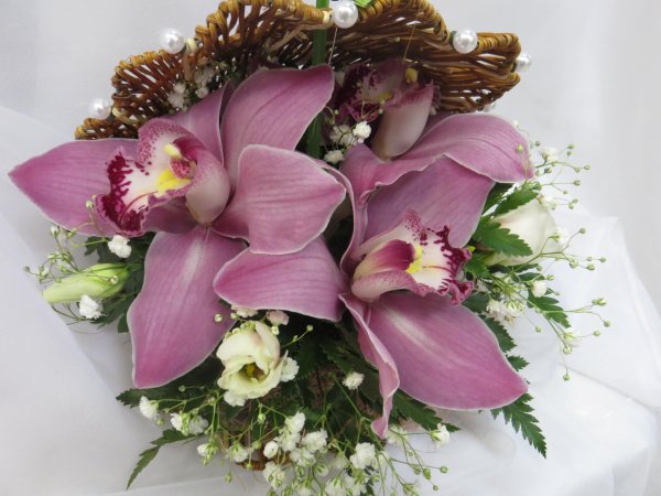 орхидея цимбидиум зеленая