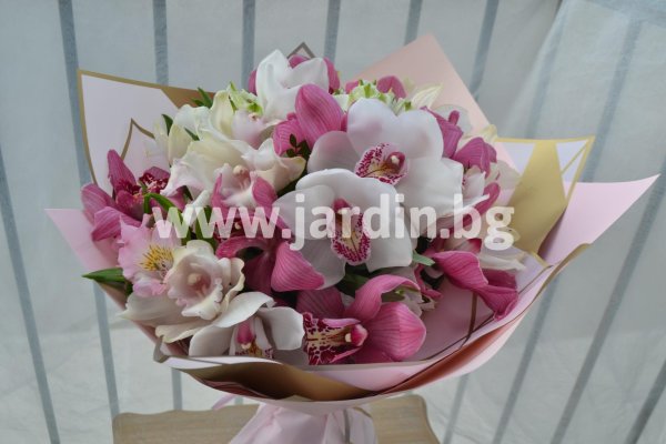 орхидеи цимбидиум