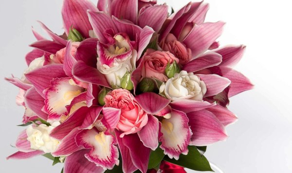 альстромерия цимбидиум букет