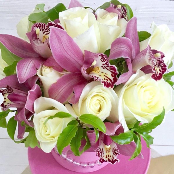 цветочные коробки с орхидеями