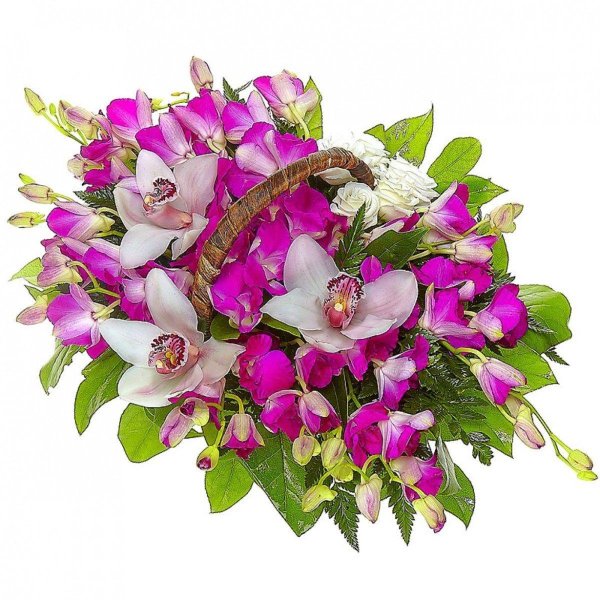 корзина с орхидеями