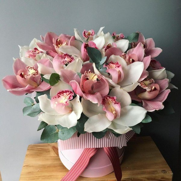 коробка с орхидеями