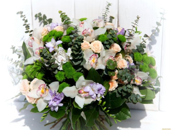 орхидея букетная