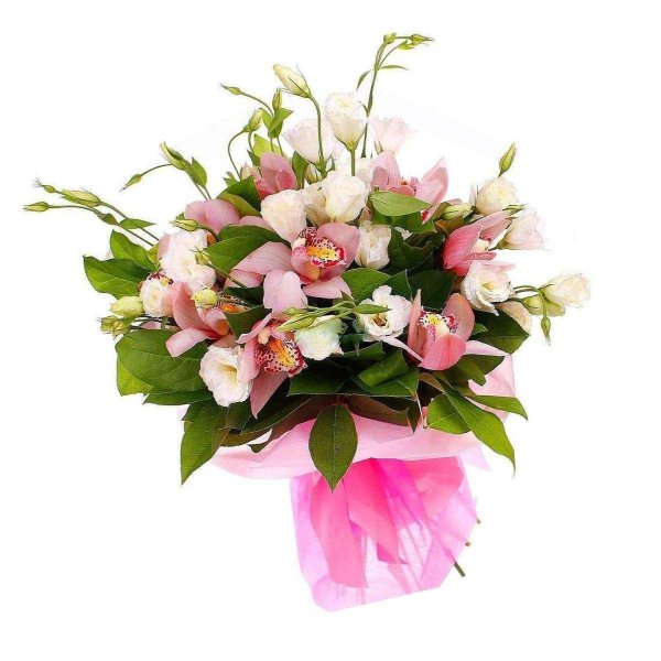 большой букет орхидей