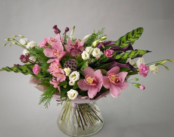 орхидея цимбидиум микс