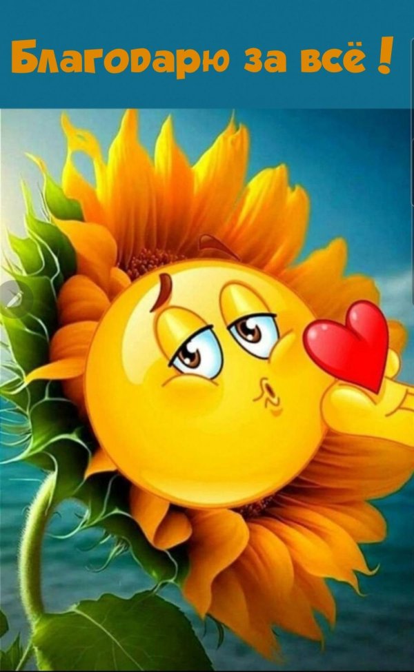 улыбающийся подсолнух