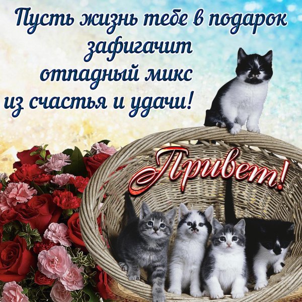 поздравления и пожелания