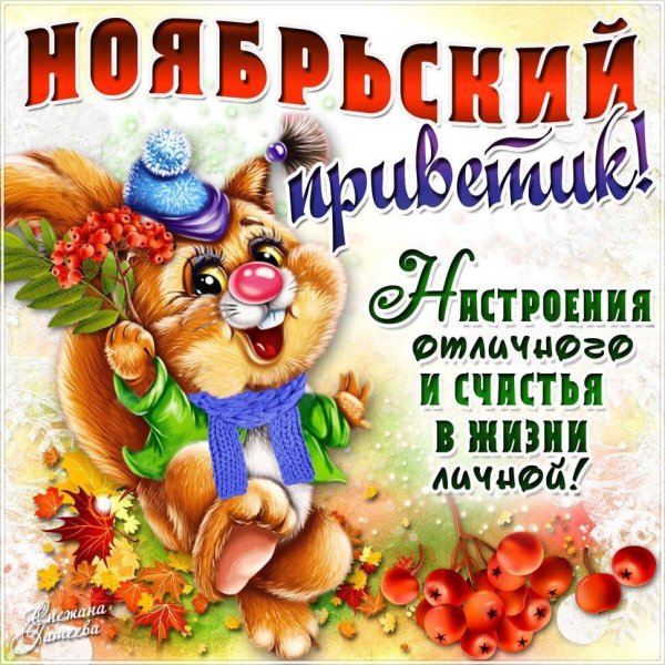 ноябрьский приветик