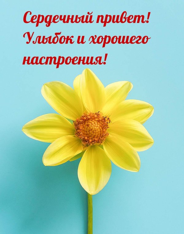 здоровья пожелание