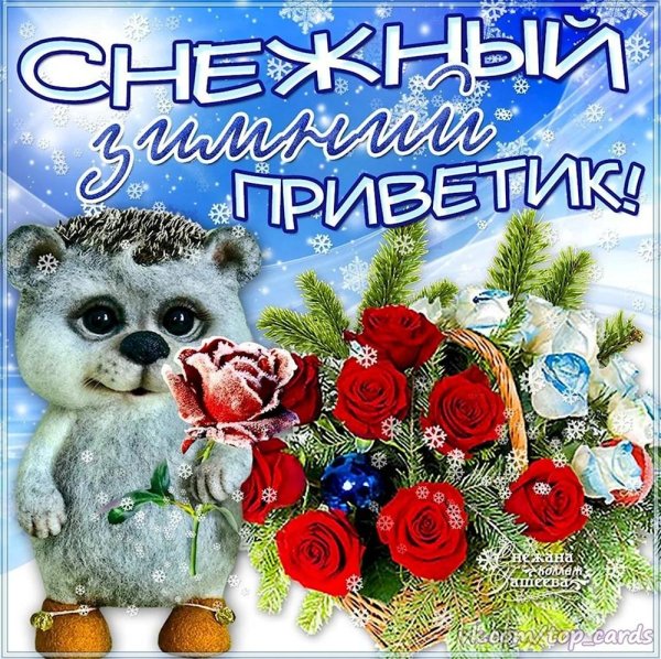 снежный приветик