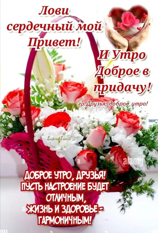 всем моим друзьям желаю доброго утра