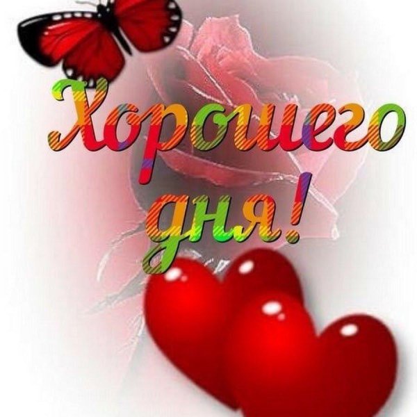 доброго дня любимая