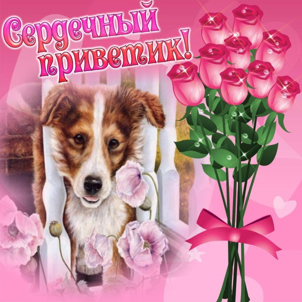 приветствие открытка