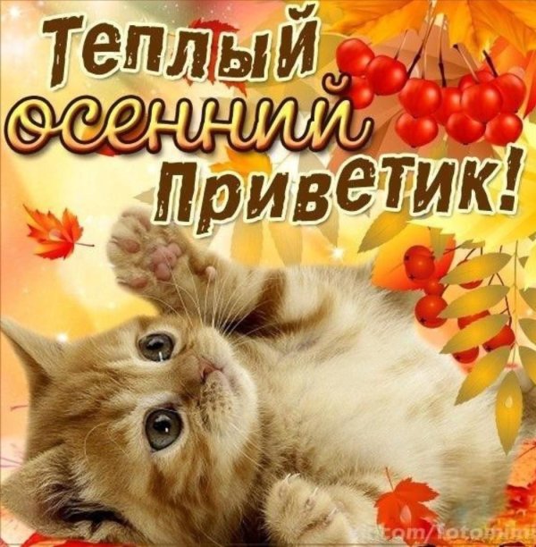 осенний приветиклюблю васродные мои