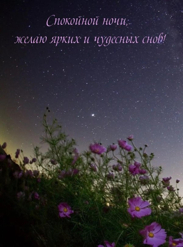 прекрасных летних снов