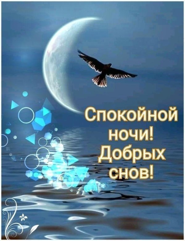 спокойная ночи