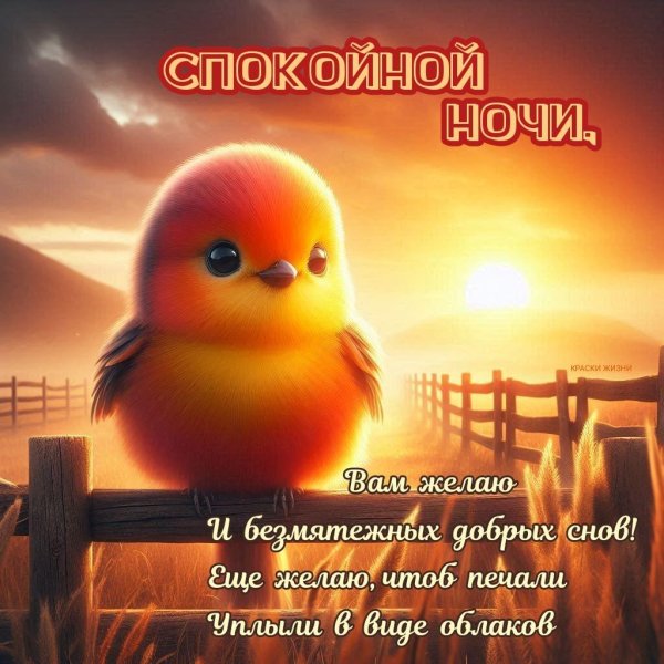 хорошего вечера доброй ночи