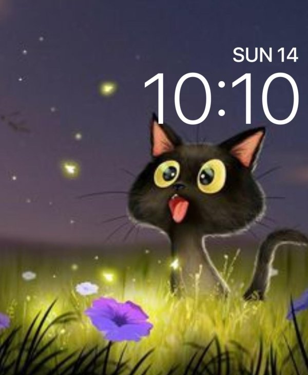 живые котики