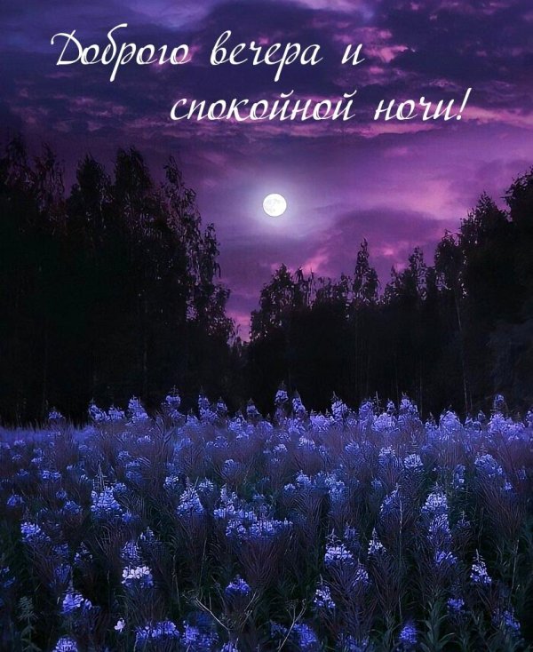 спокойного вечера