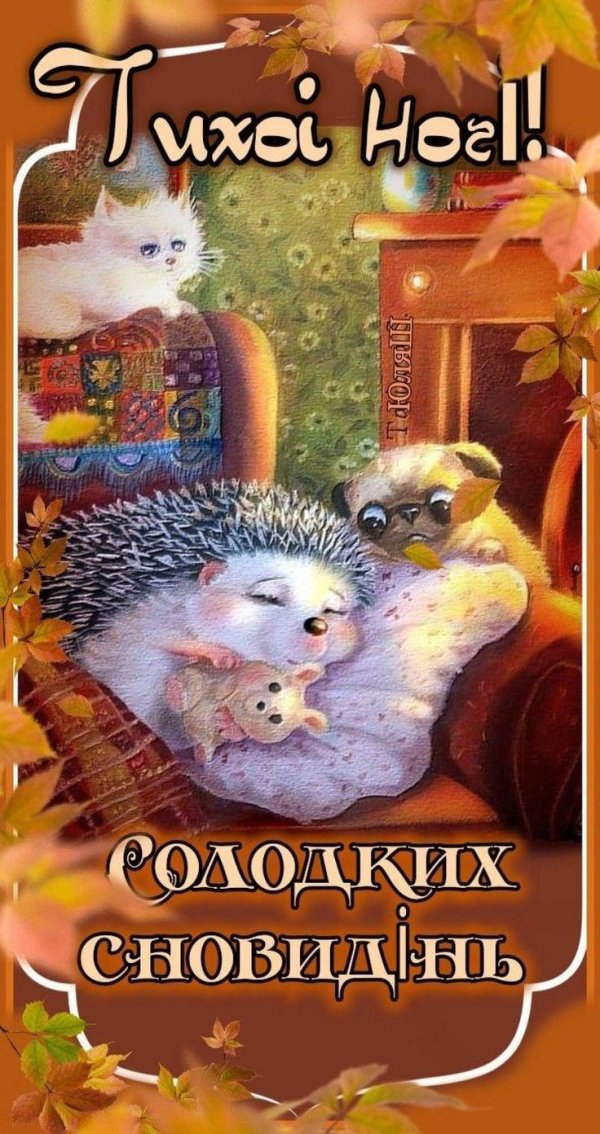 спокійної ночі