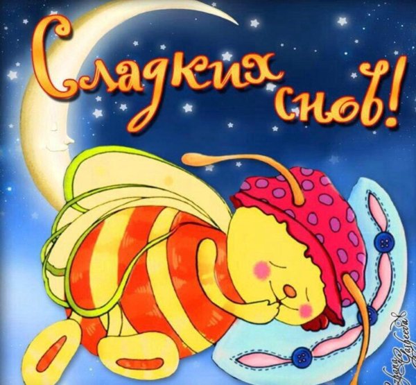 сладких летних снов
