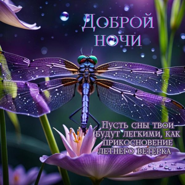 добрая ночь