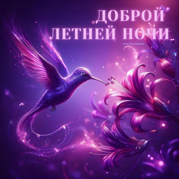 доброй летней ночи