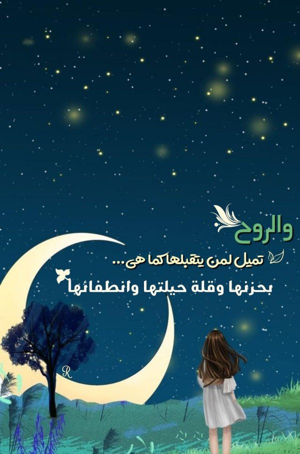 спокойная ночи