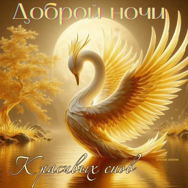 доброй ночи красивые необычные