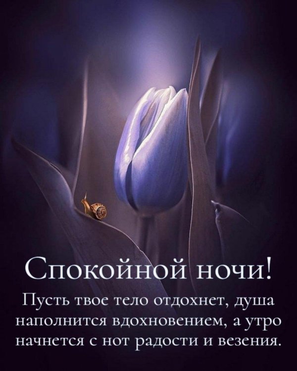 спокойной ночи весна