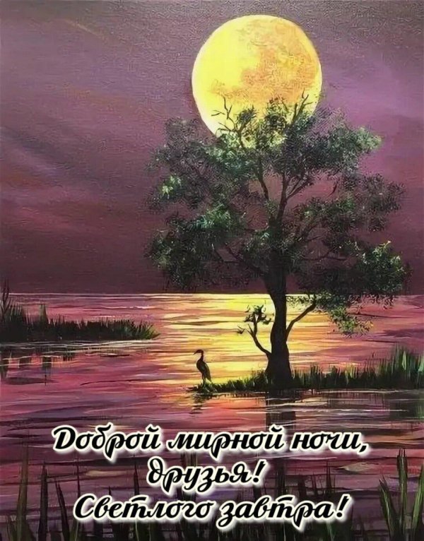 ночной пейзаж