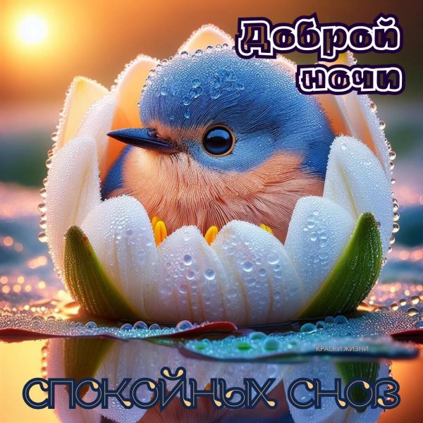 доброй ночи спокойного сна