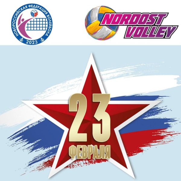 вфв волейбол логотип