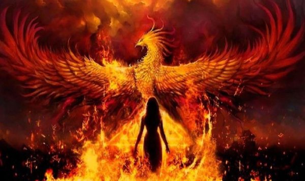 феникс восставший из пепла